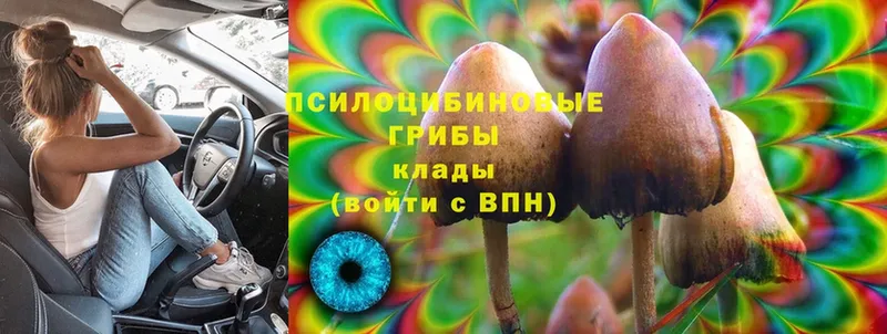 Галлюциногенные грибы Cubensis  как найти наркотики  mega сайт  Лиски 